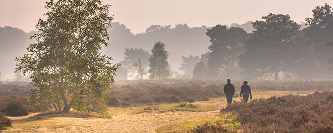 Twee mensen wandelen op de Veluwe